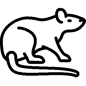 Ratazanas
